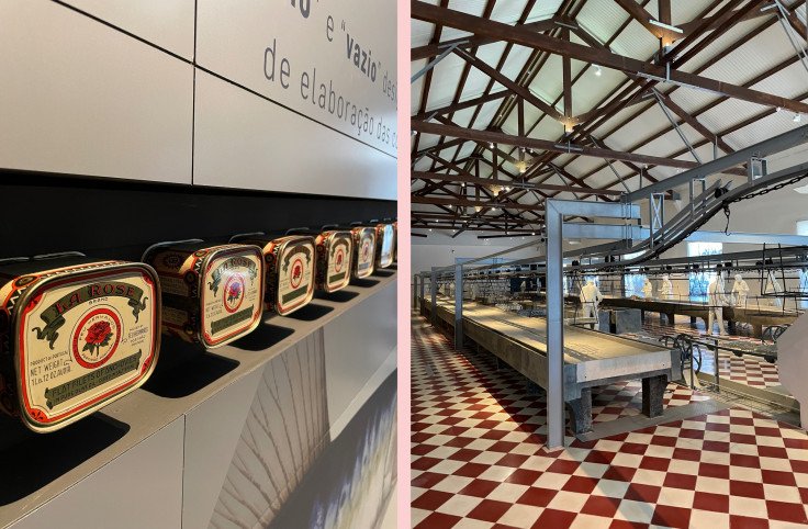 tempImagecpk9vh-merged