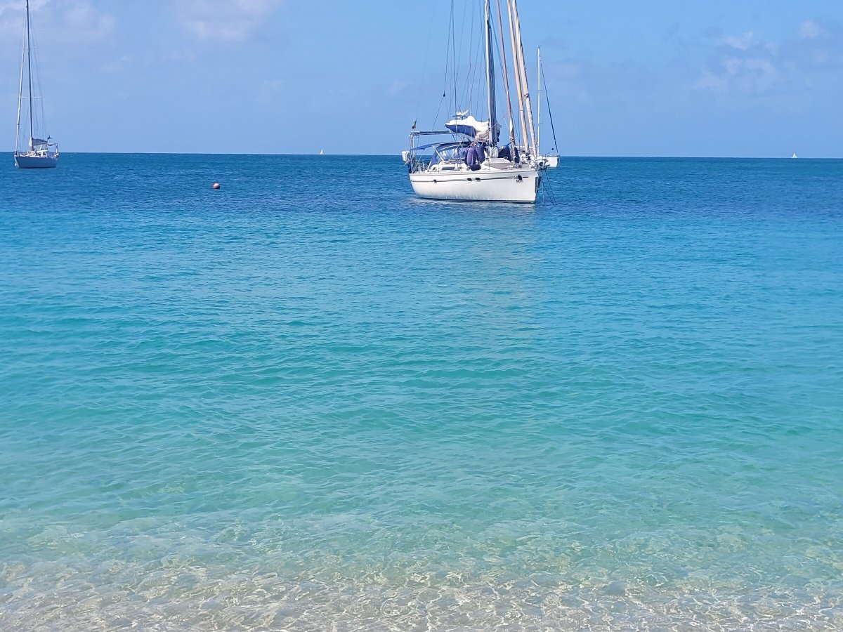 Explore the hidden coves and beaches of Elba Island