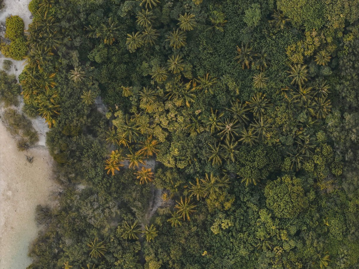 Absolute - El modelo