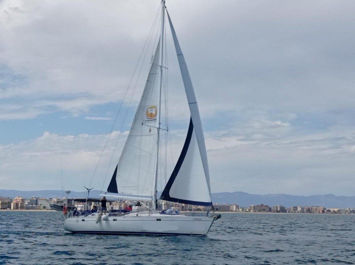 WhatsApp Image 2024-12-08 at 16.30.50