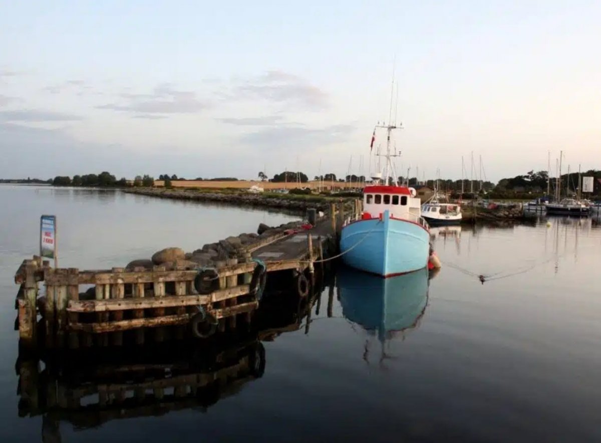 Bildschirmfoto 2024-10-15 um 12.19.57