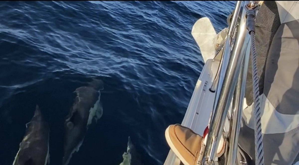 Navigare in Galizia: corso intensivo e avventura in mare