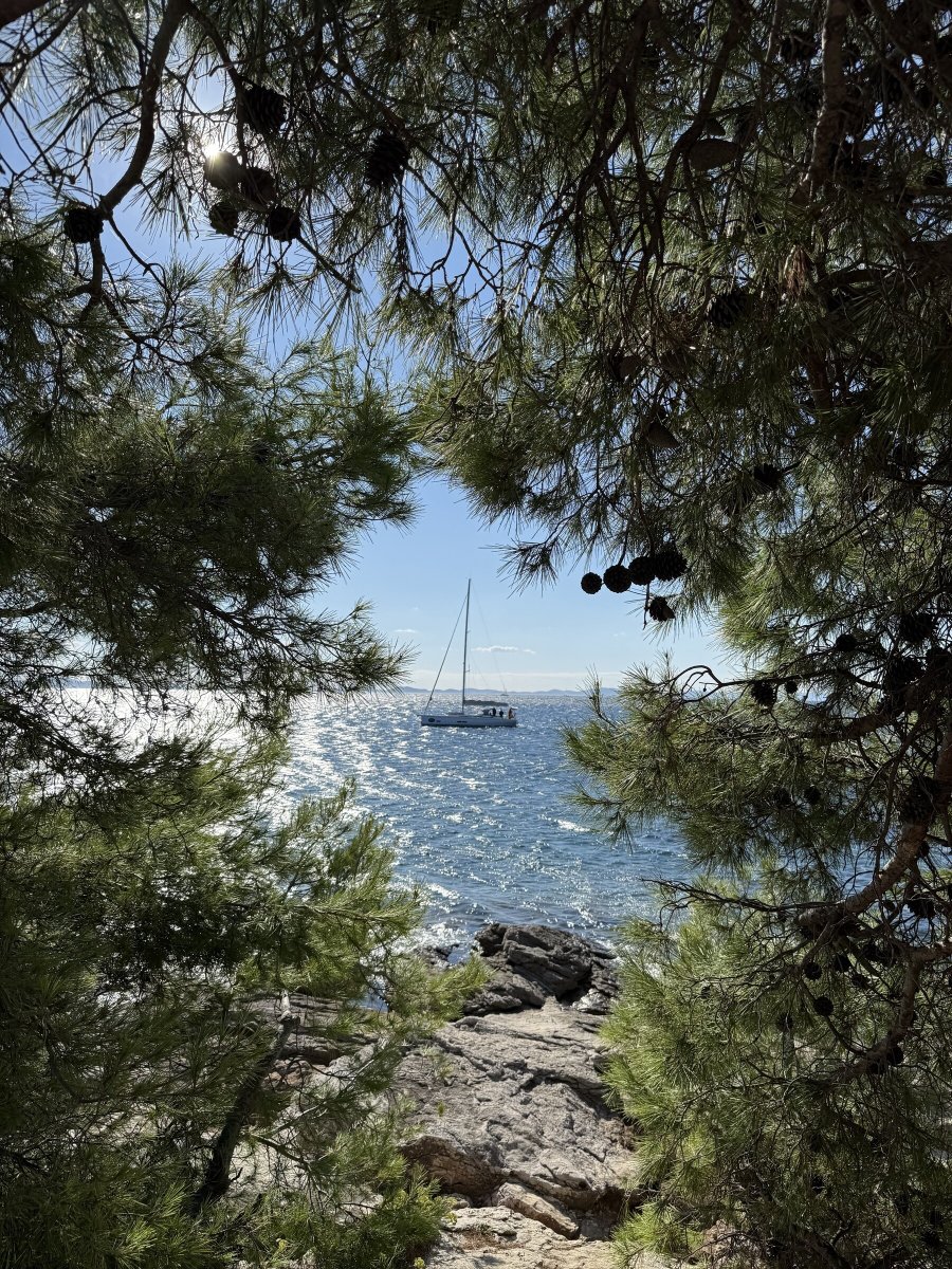 Learn boat navigation