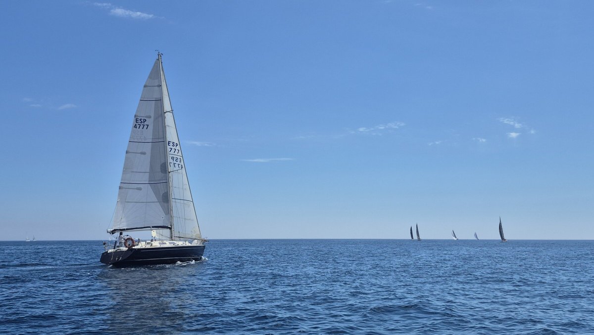 Ostrica - Lightwave 395