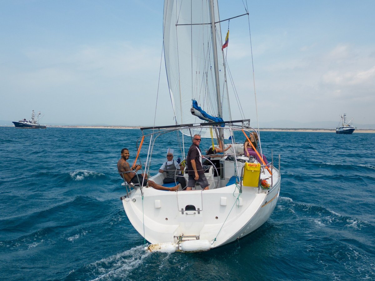 6661d1eec8ba34.20645714