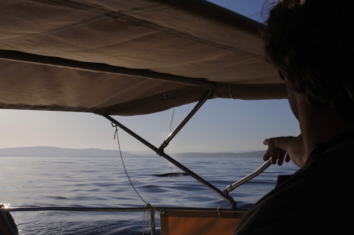 Erkunden Sie die Ionischen Inseln mit dem Segelboot