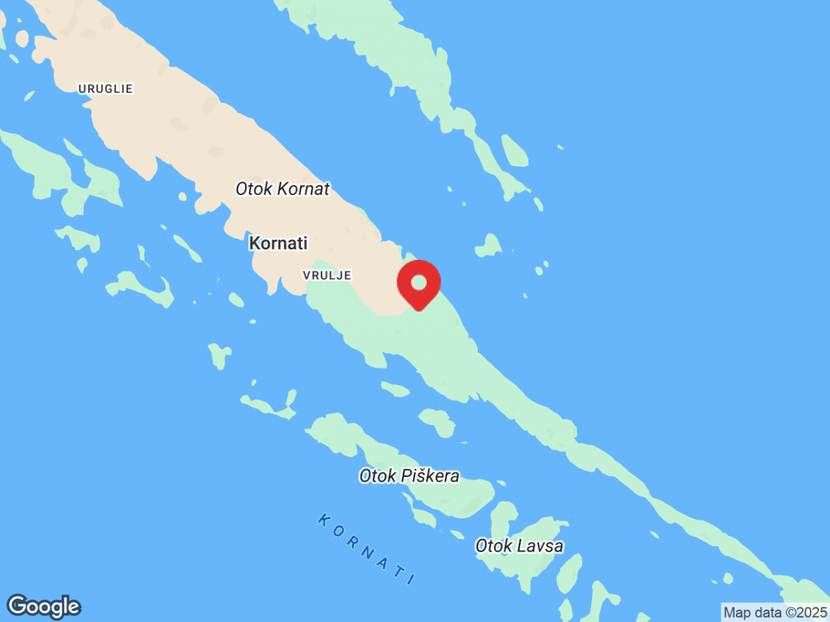 9a2d8d24ef7982f574433266cfae1121