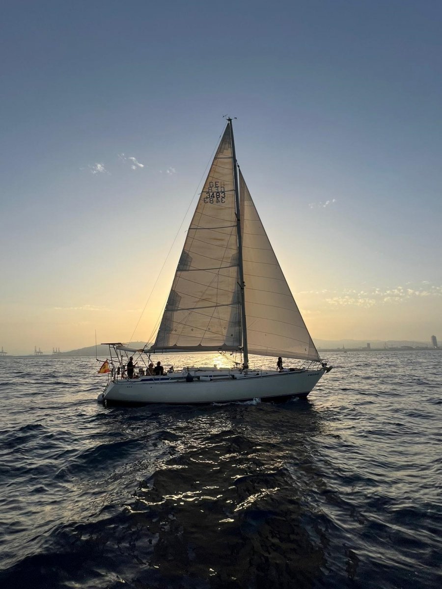 6544028f6b7fd1.31010757