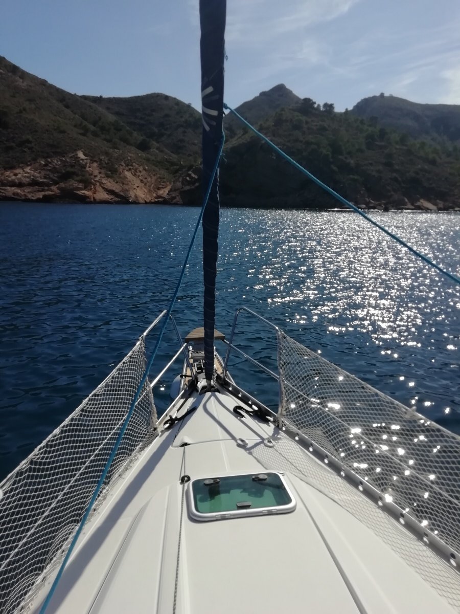 Viaggio in barca a vela per avvistare delfini e balene