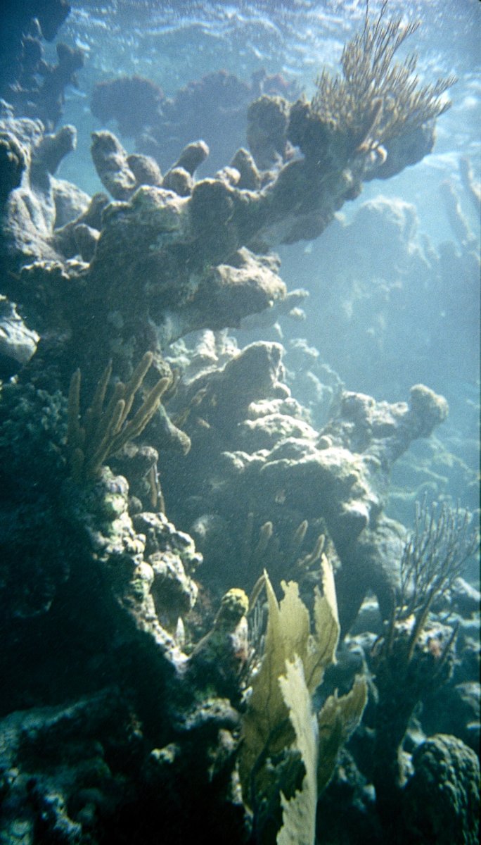 Discover the hidden secrets of the San Blas Islands on a catamaran adventure