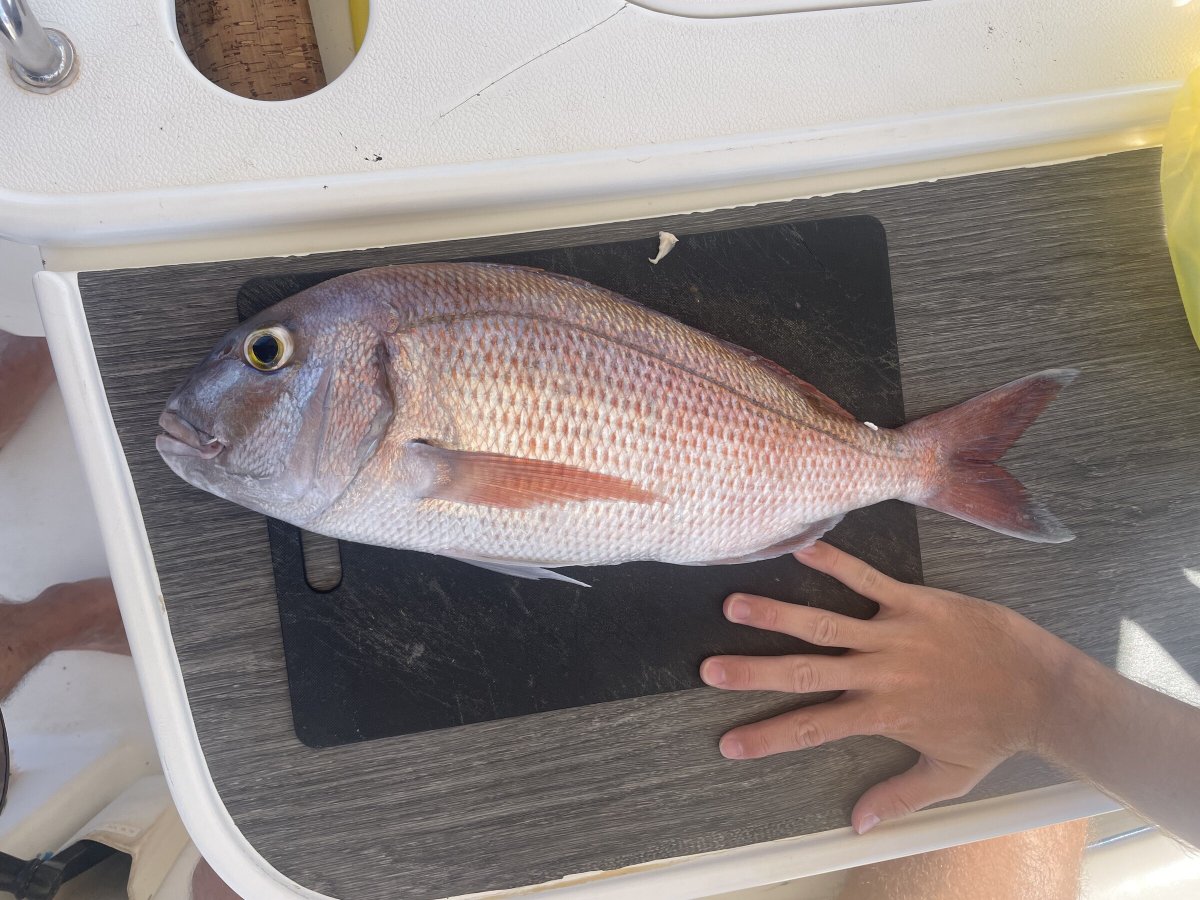 Segelkurse auf den südlichen griechischen Inseln