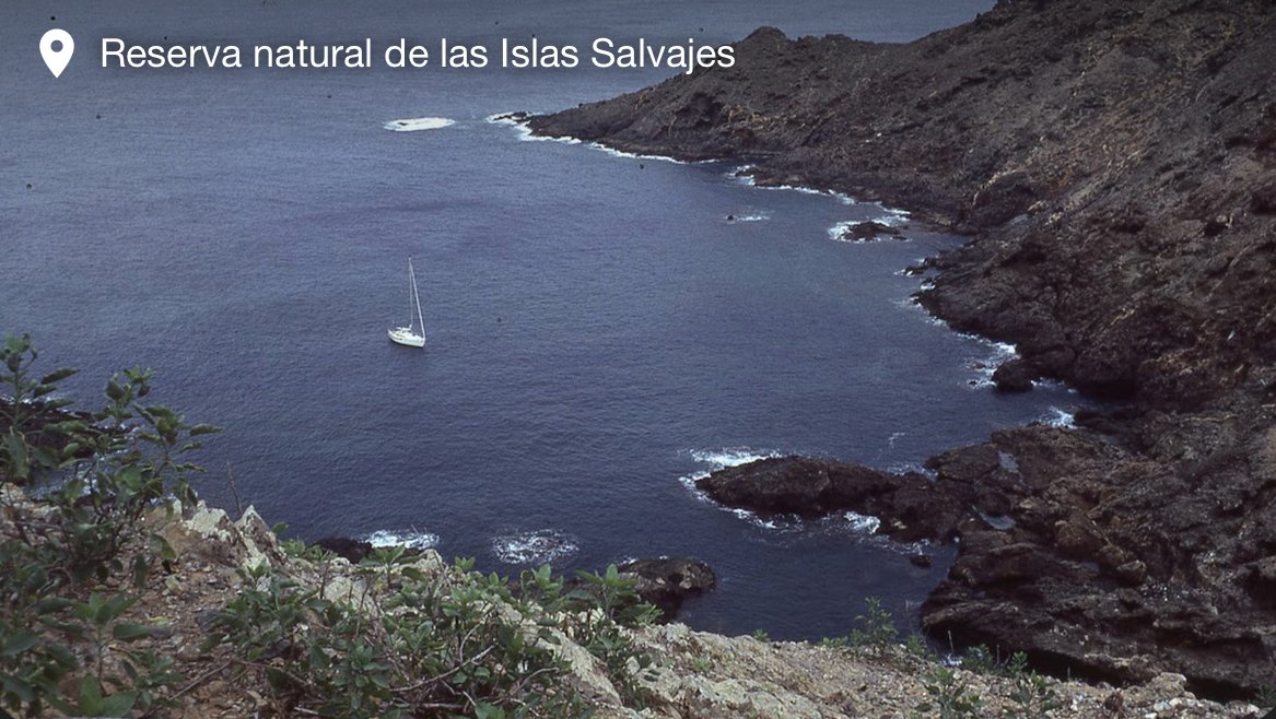 Dalle Azzorre, continuiamo il nostro viaggio a Madeira, l'isola delle eterni primavere