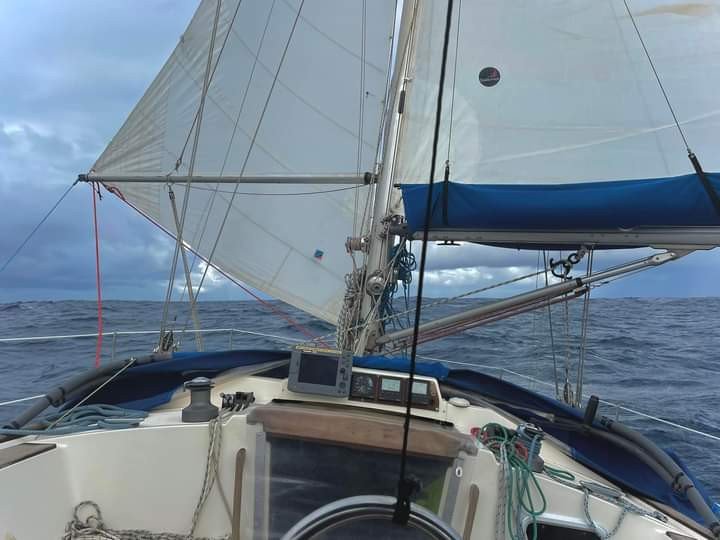 Hallberg Rassy - 1981