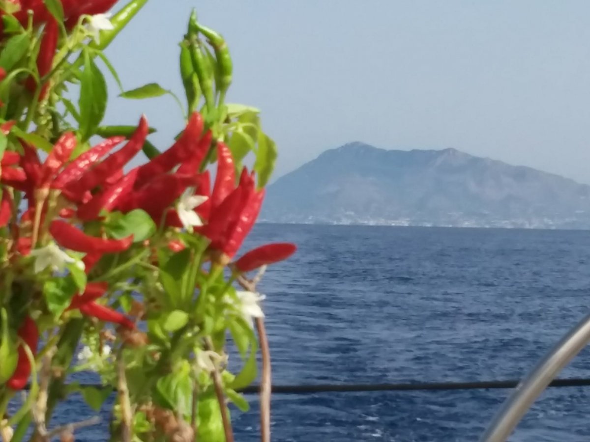 Esplora Ischia a bordo di un'imbarcazione