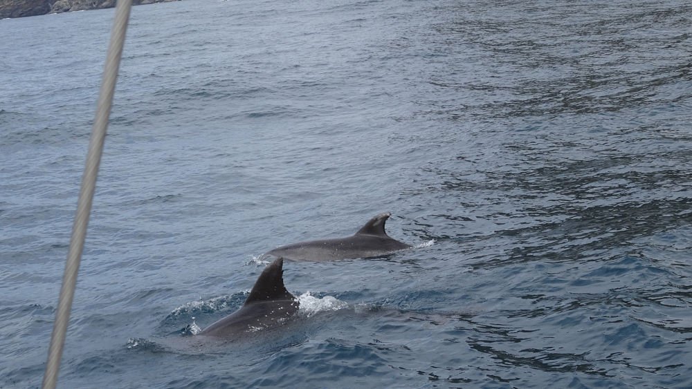 Curso de navegación en catamarán a lo largo de la costa mediterránea