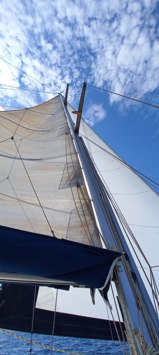 Segelboot - Bénéteau - 2000