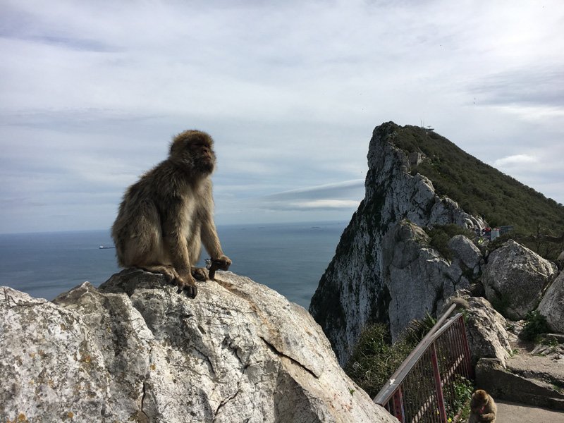 Vuelta en barco por el Atlántico: Viaje a Madeira, Marruecos, Gibraltar, Málaga sólo ida