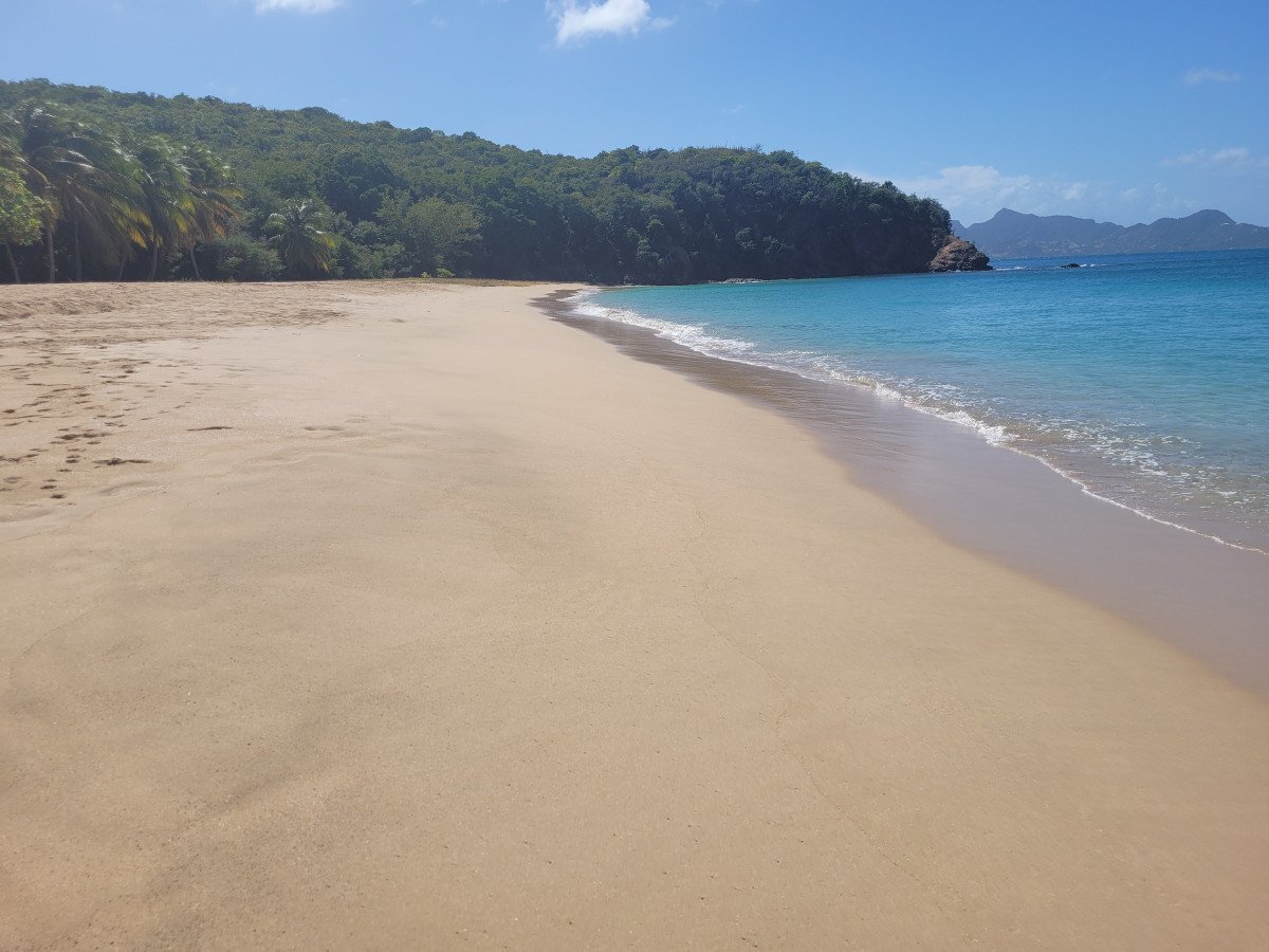 Goditi la bellezza delle isole dei Caraibi