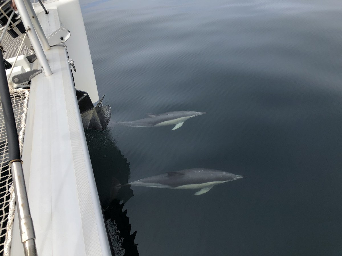 C5D07390-0383-4F76-BE2A-6C62EDD8CBEF