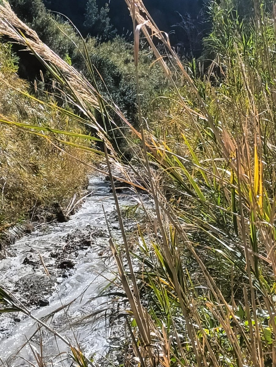 A Nautical and Land Adventure in Ischia: Sailing, Trekking, and Unforgettable Views