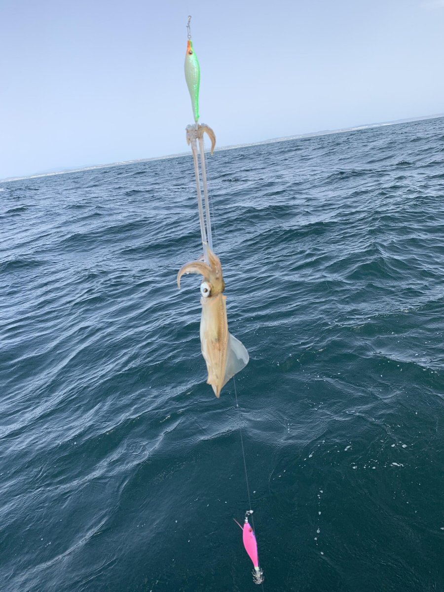 Aventura de pesca de calamar y sepia en la costa de Chiclana