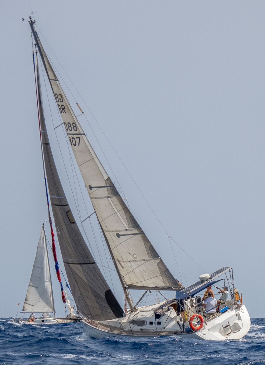 6595d9ad71fe79.17517715