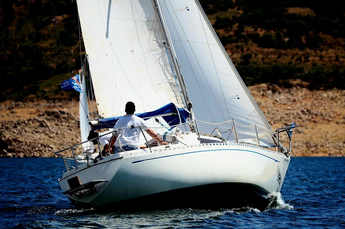 Puma Veleros - Puma 24