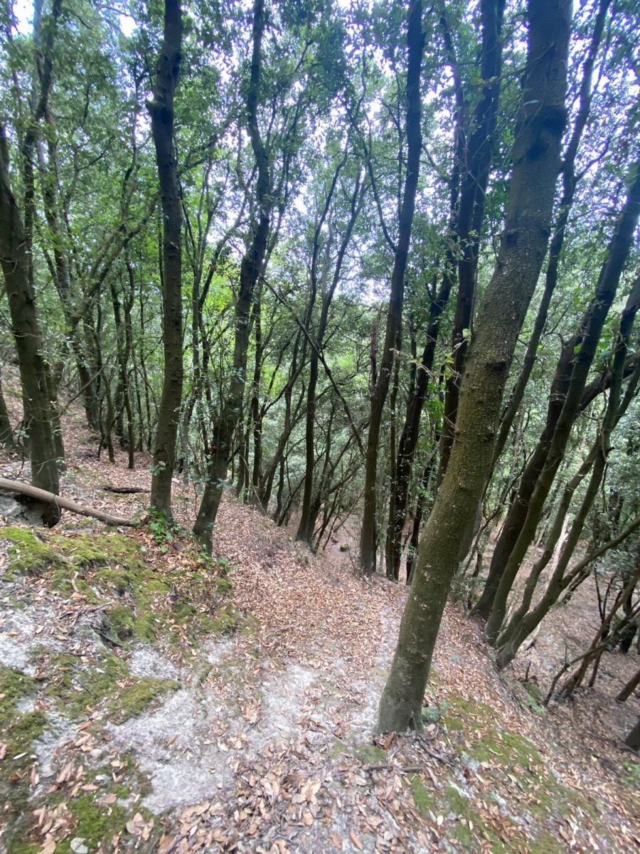 Escursione in barca e vela a Ischia: vela, trekking e panorami spettacolari