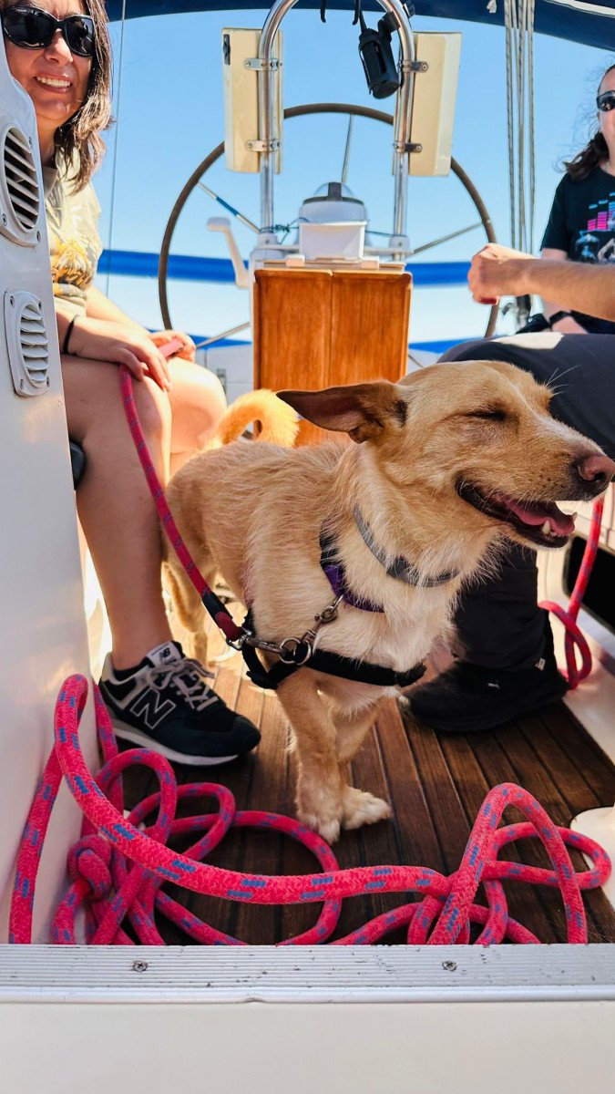 An orange and red sunset from the sailboat