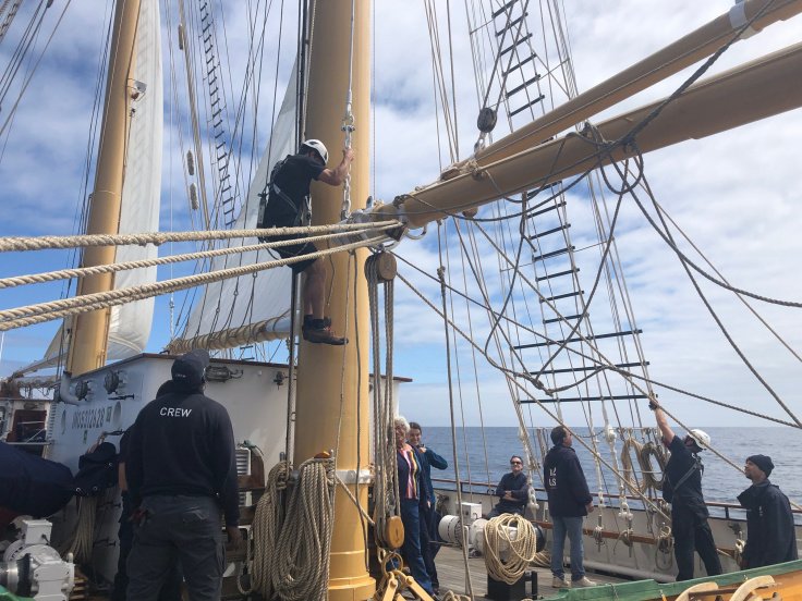 Crew member climbing the mast to prepare for the sail to go up