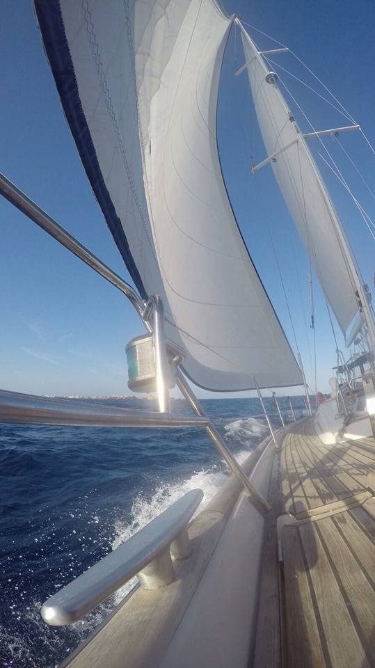 Bénéteau - 9 people