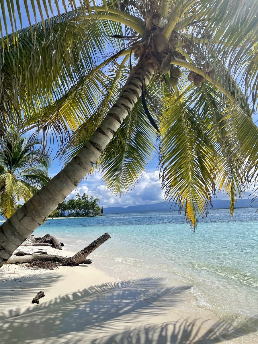 Transoceanic sailing adventure