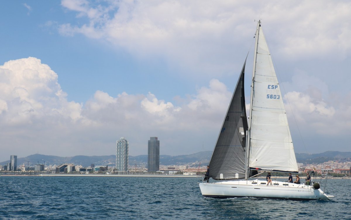 Teilnehmende Boote bei der Regatta, Segelboote die während der Regatta das Meer überqueren, Segelboote die während der Regatta auf See segeln, Segelboote die während der Regatta auf See segeln, Segelboote die während der Regatta auf See segeln