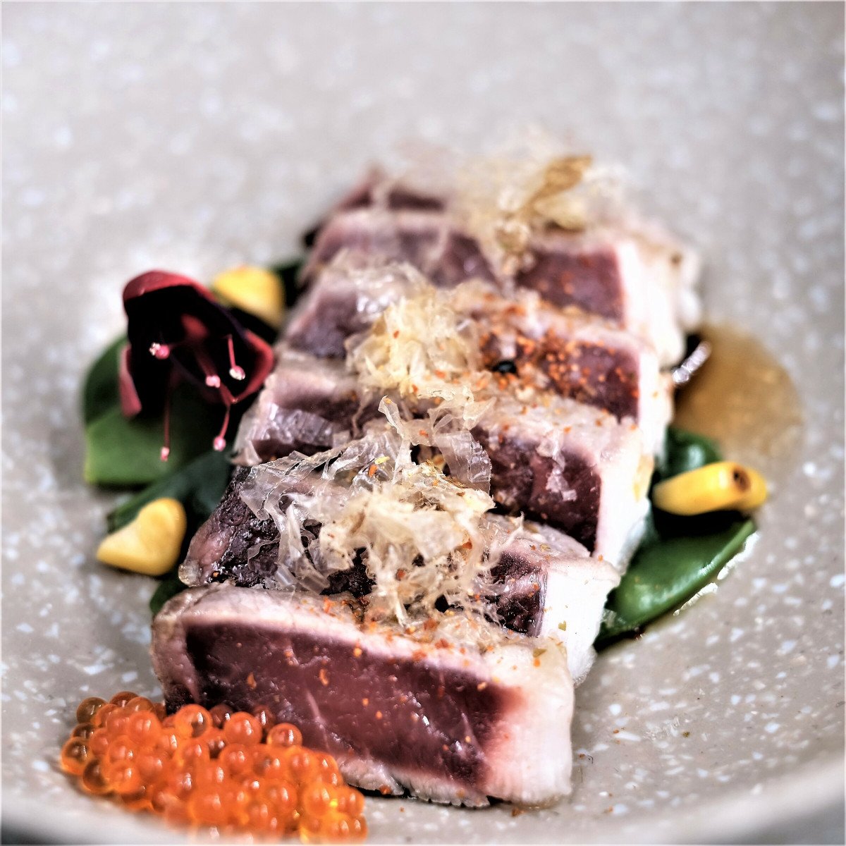 Alquiler de velero en Castellón y visita a Columbretes