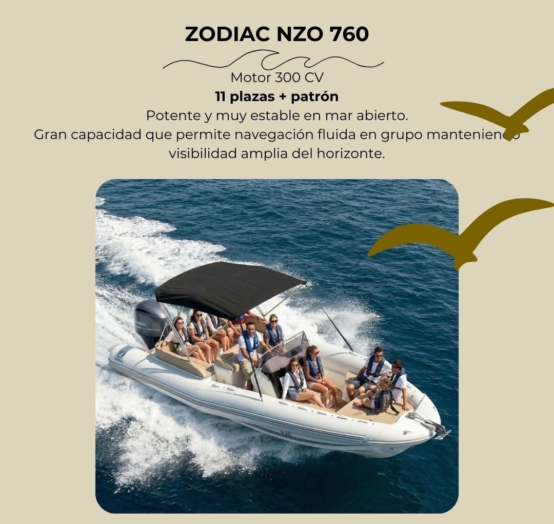 Luxusboot für Reisen in Südmallorca