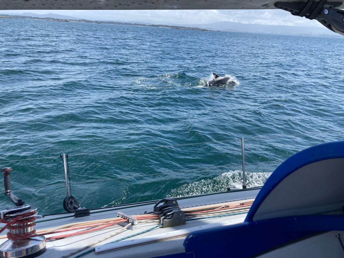 Tagesausflug auf einem VO60-Segelboot