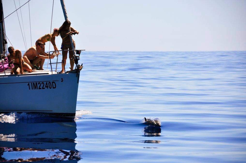 Barca a vela - Bénéteau - 2002