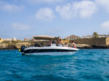 64ac3120d28d07.92907220