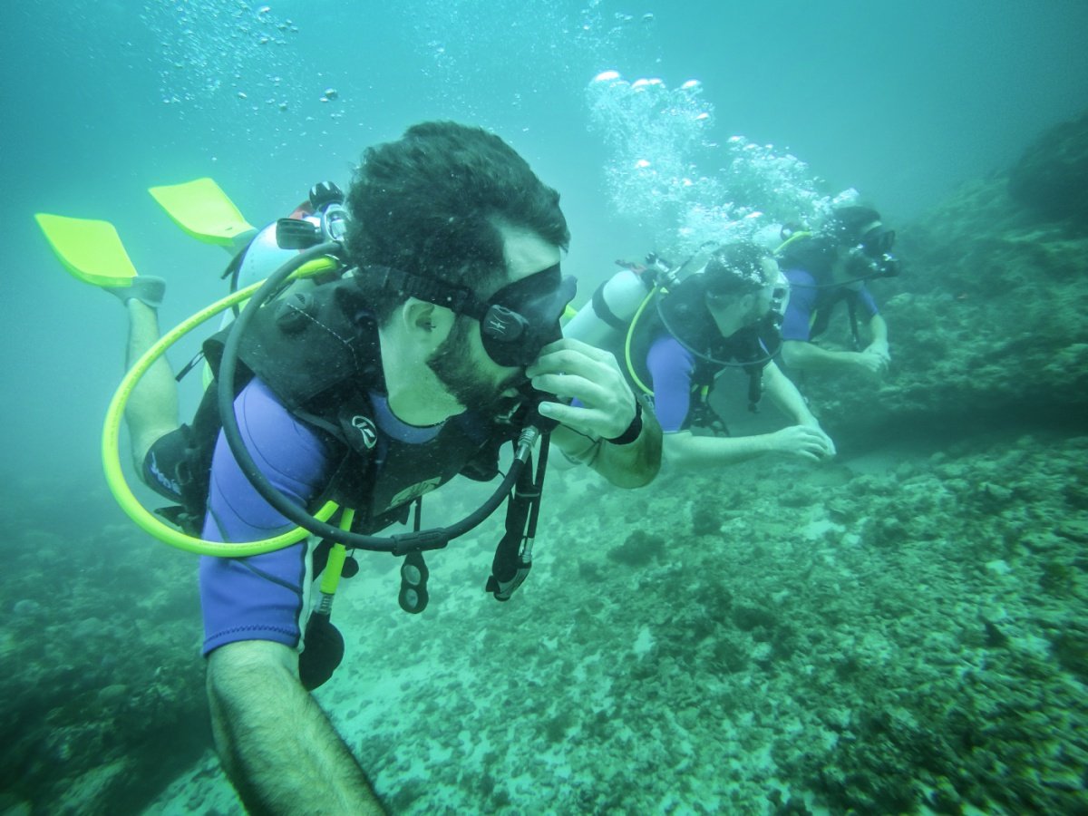 travel by sail in the Caribbean