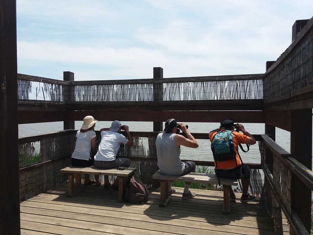 Sailing the Waters of the Ebro Delta