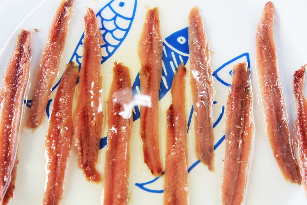 Esperienza di navigazione a vela