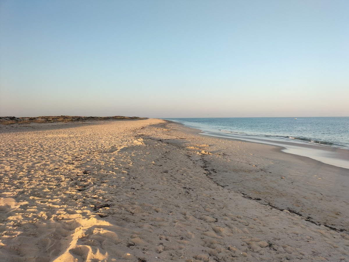 Explore Portugal's Coast on a Sailboat