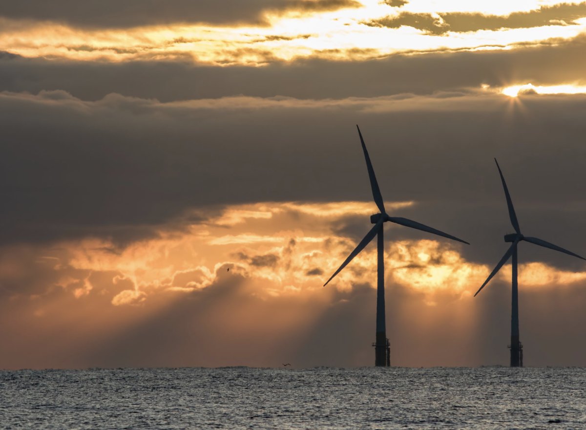 Discover ocean navigation from Cherbourg to Azores.