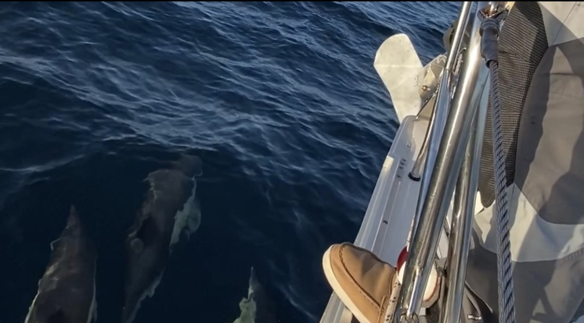 Boat trip to Cíes Islands with concert and lodging