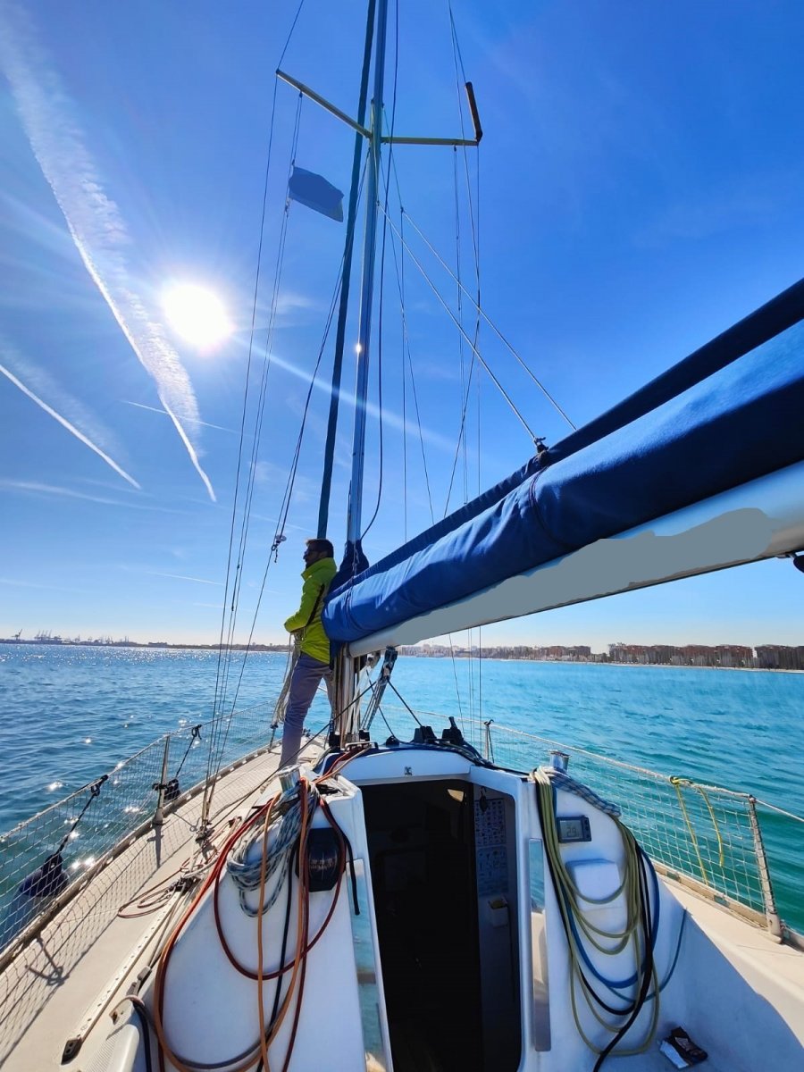 Imagen de WhatsApp 2025-02-09 a las 13.56.45_e558b2f4