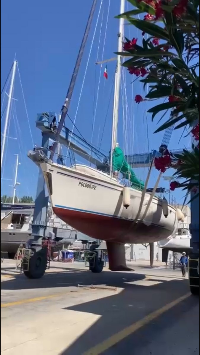Atlantiküberquerung Kreuzfahrten von Viareggio nach Teneriffa und Martinique