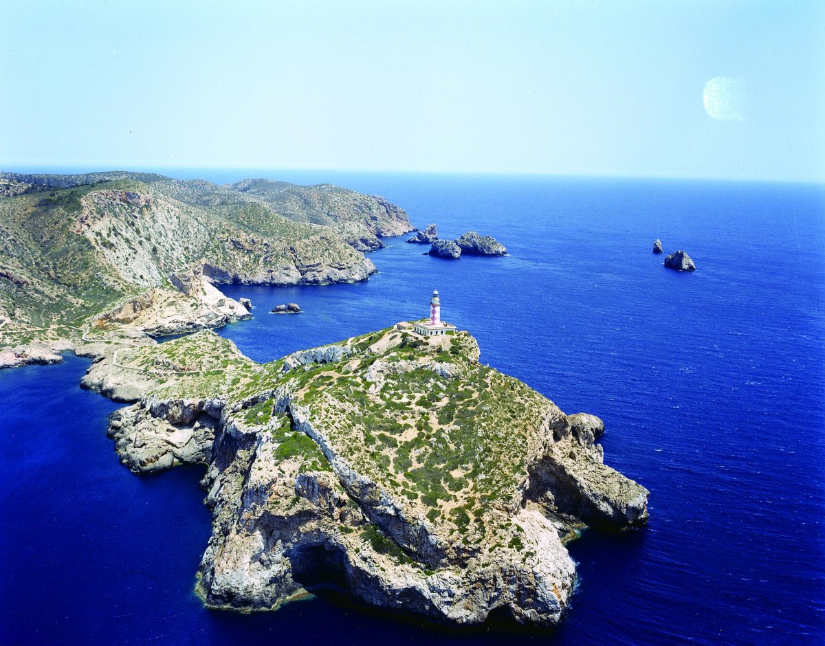 Subacquea in acque cristalline del Parco Nazionale