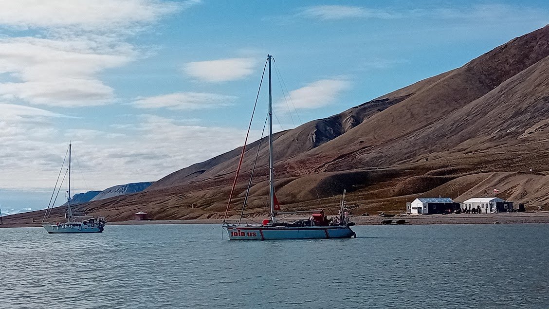 Entdecken Sie Svalbard auf einem aufregenden Safari