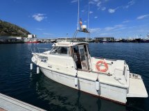 Imparare a navigare in un ambiente bellissimo