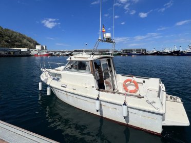 Navigation License Course in Getaria